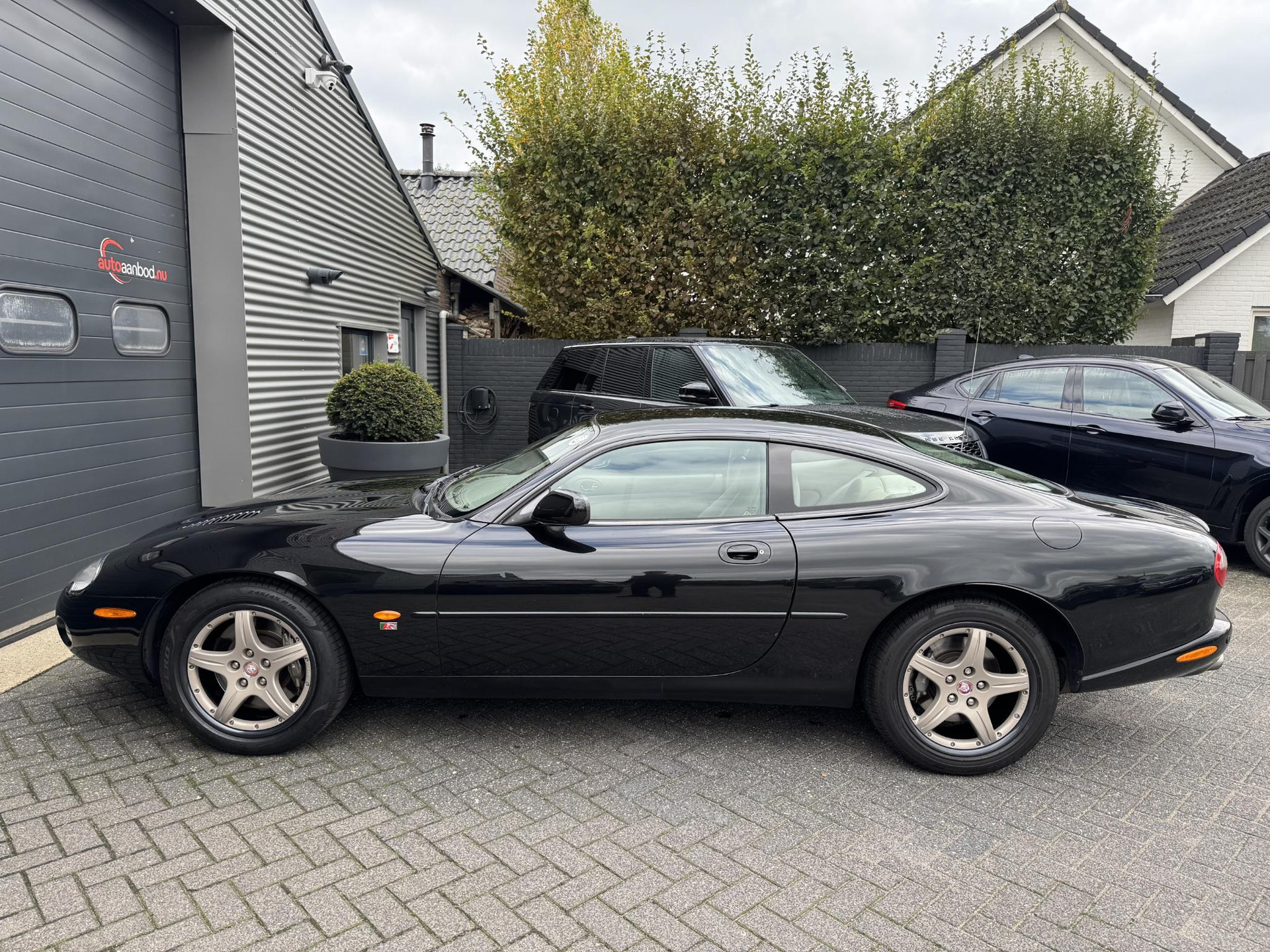 48241889-6.jpg