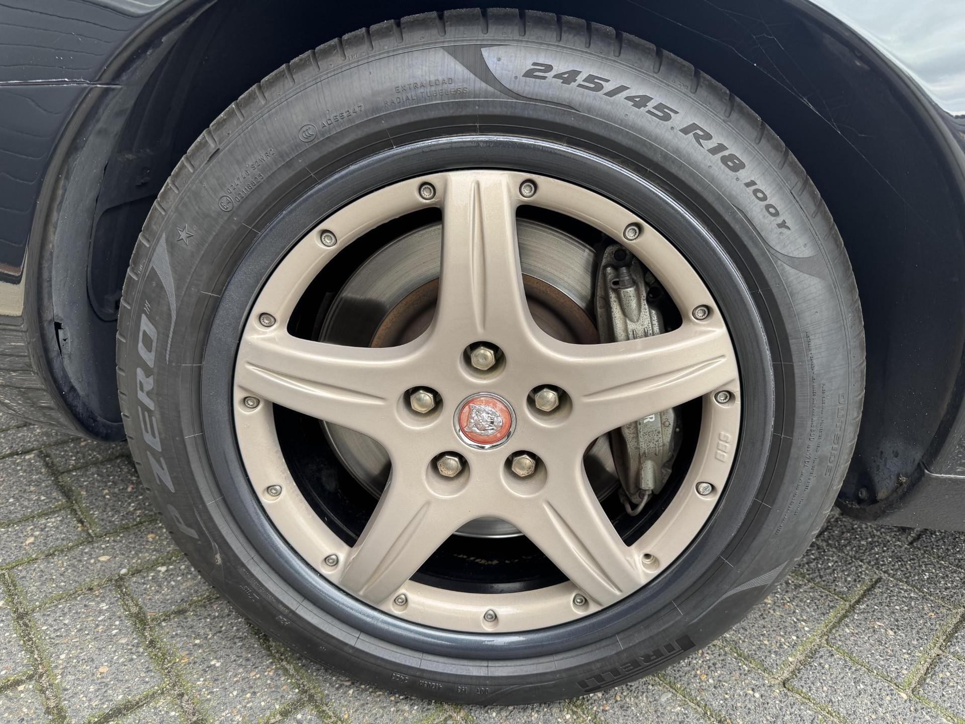 48241889-7.jpg