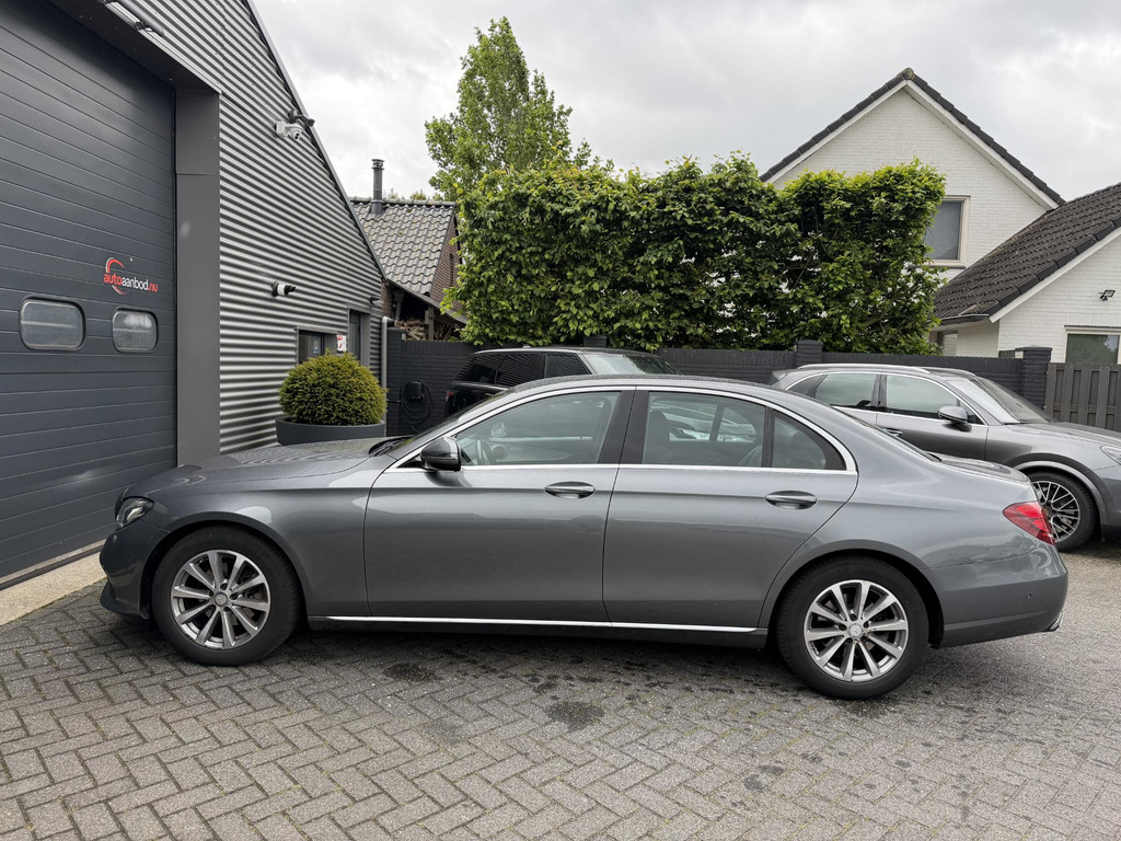 53562839-6.jpg