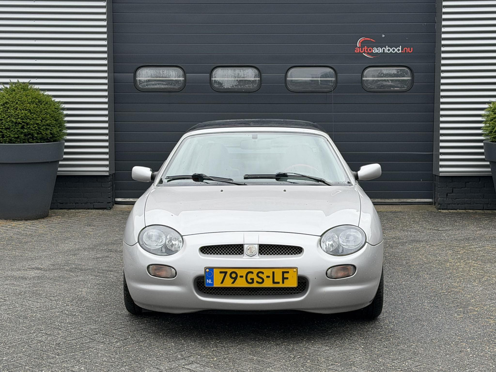 54059483-4.jpg