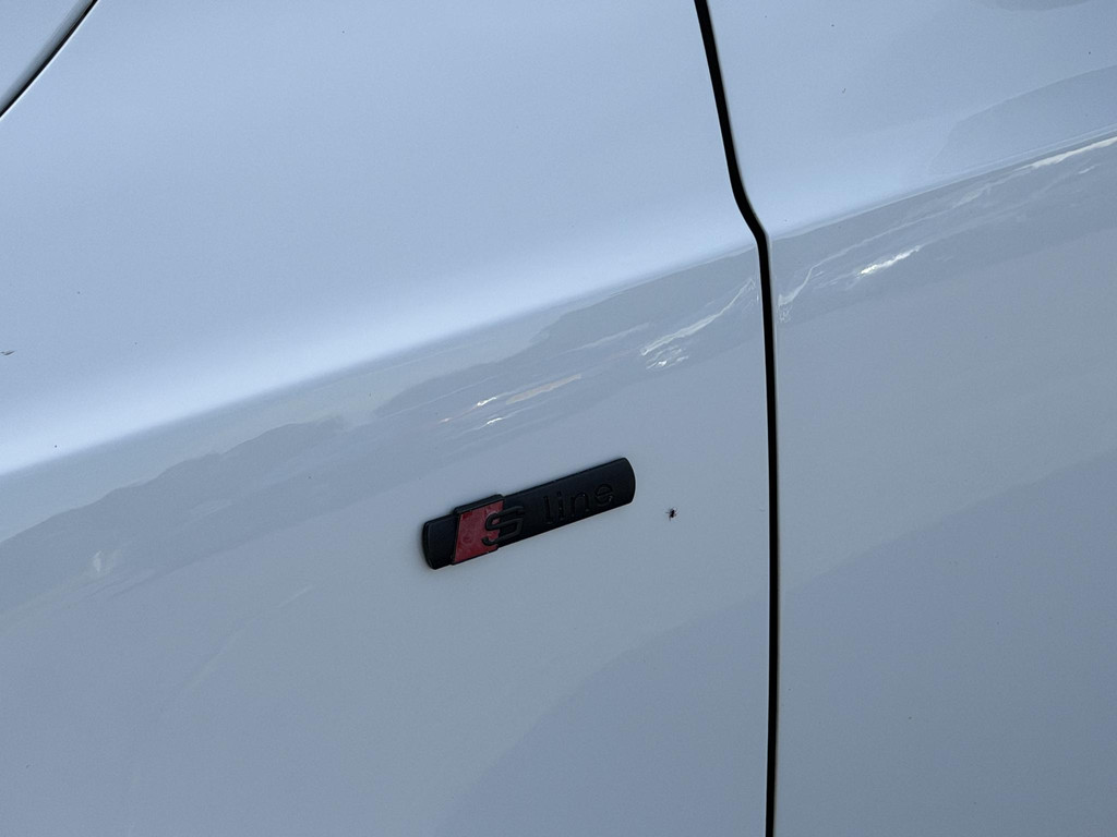 56888366-9.jpg
